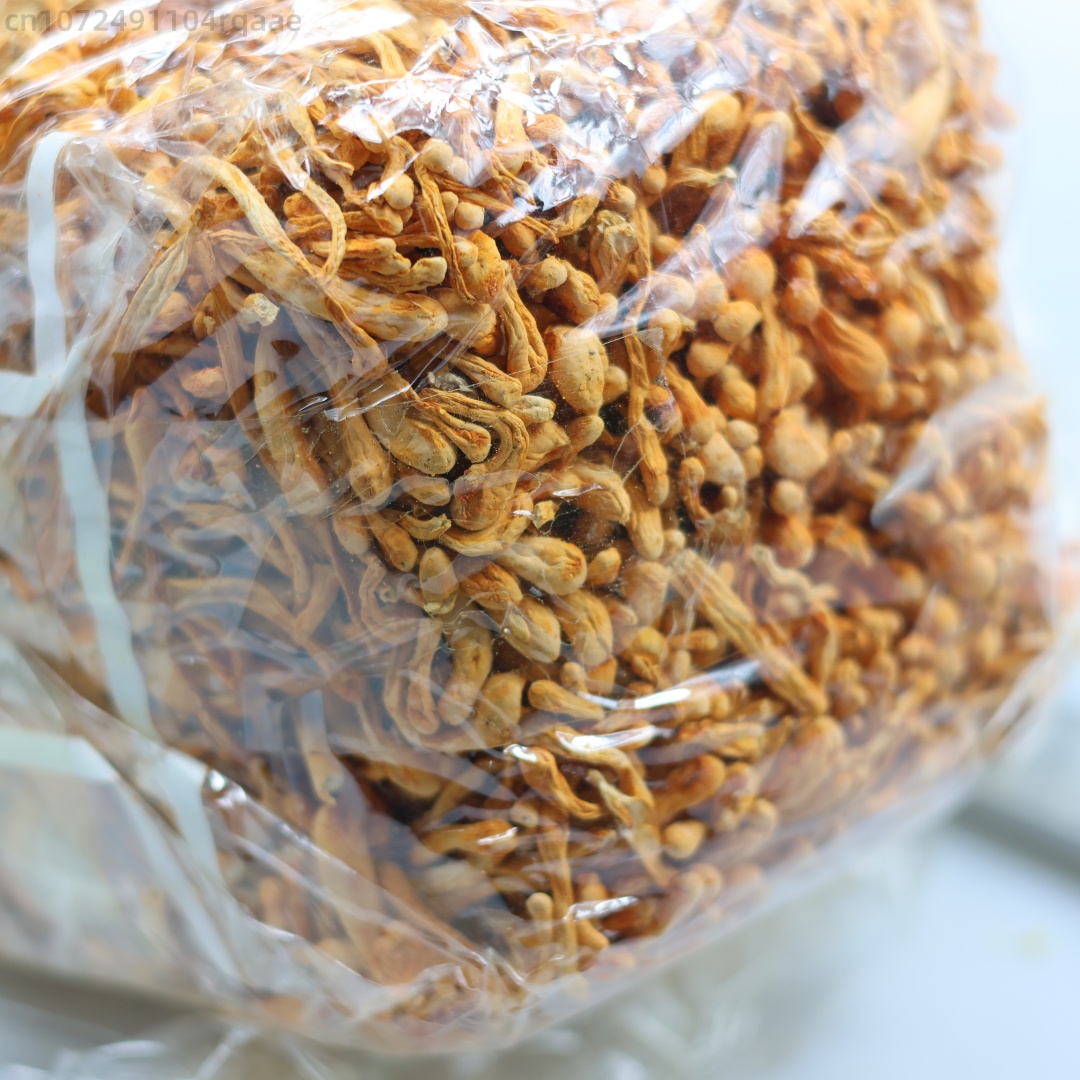 250g/500g Premium Natural Drie - đánh giá và giá Soap Making Diy Kit